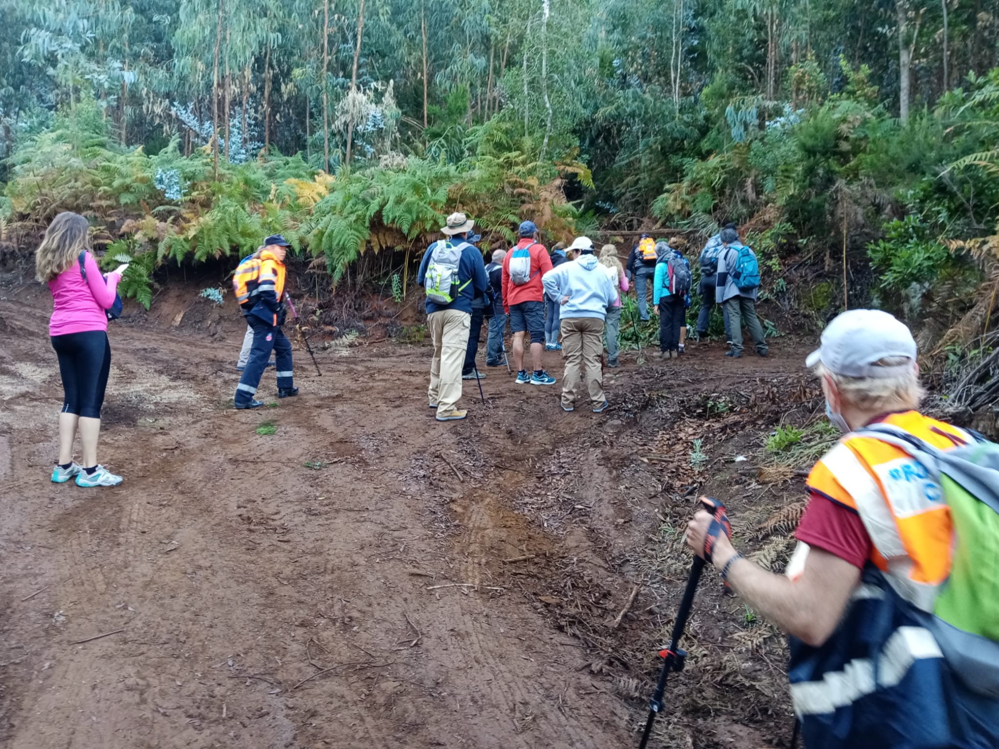 El sendero circular Los Nateros – La Vica protagonista del Programa de Rutas Guiadas de Candelaria – Candelaria