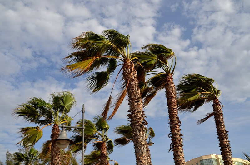 AVISO: Suspendidas todas las actividades al aire libre que estén programadas en el municipio, en la tarde de hoy día 14 de marzo de 2022, ante la situación de  riesgo por fenómeno meteorológico adverso por viento