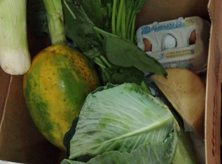  Candelaria se suma a la iniciativa de fomento de alimentación saludable impulsada por el Gobierno de Canarias y la FECAM – Candelaria