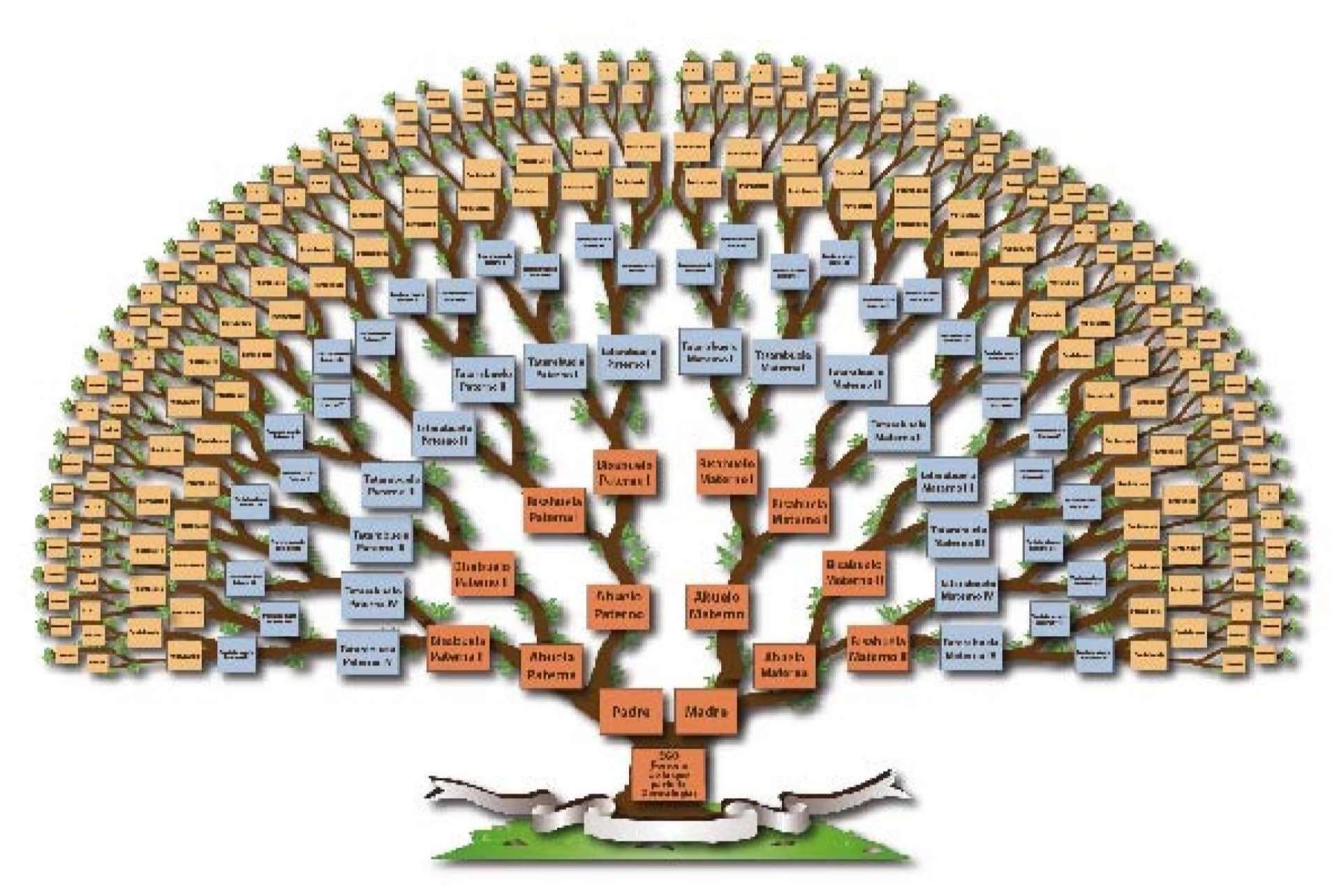 Investigación familiar y genealogía profesional de la mano del Instituto de Historia Familiar