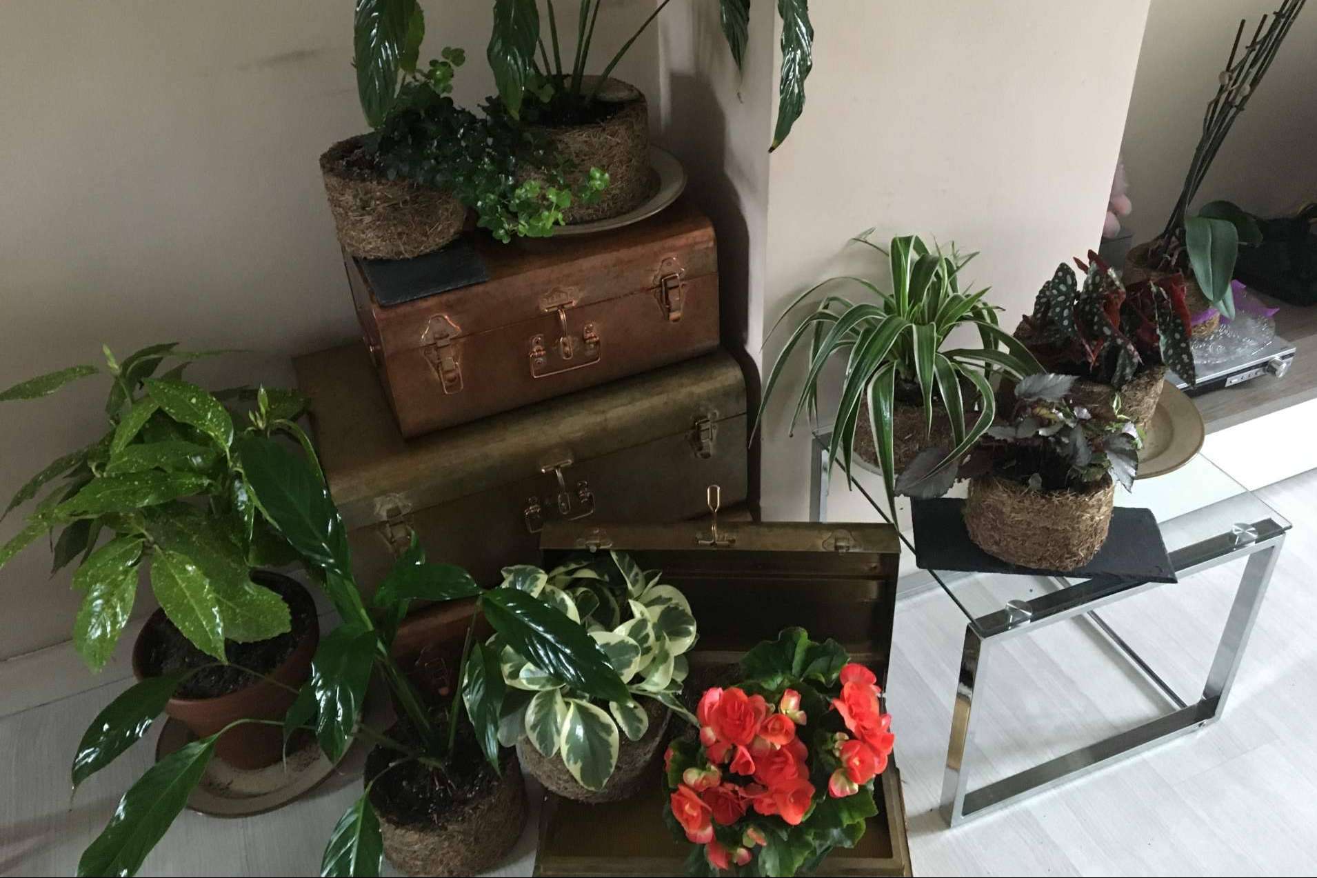Reducir el uso de plástico se ha convertido en una prioridad para la salud humana y ha dejado de ser una tendencia de decoración