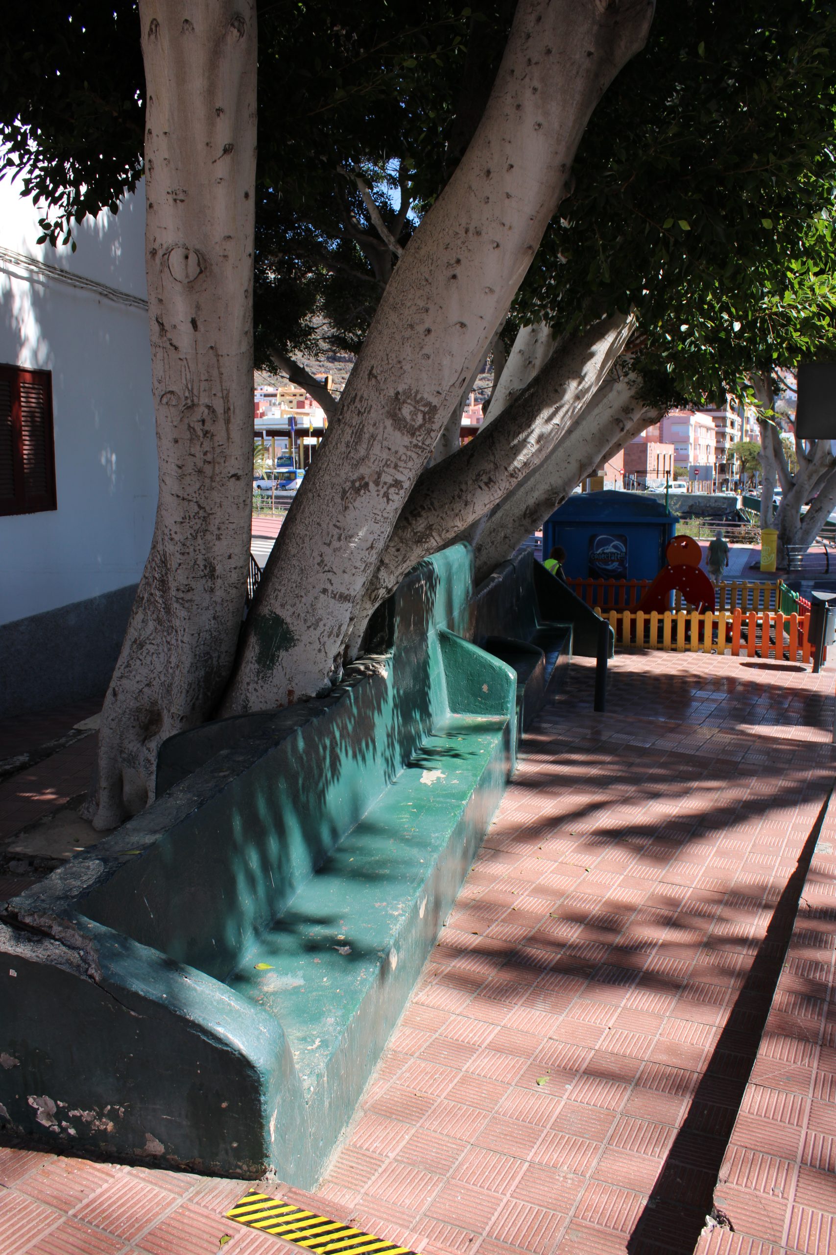 Todo a punto para la reforma de la plaza y parque ‘Los Bancos’ en El Calvario