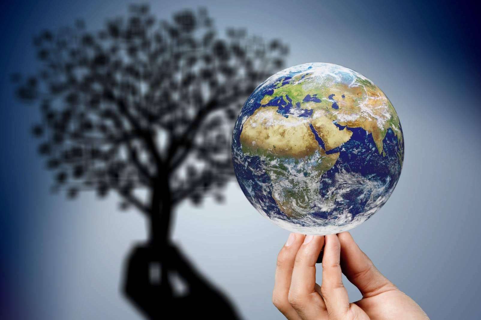 La importancia de marcar objetivos de sostenibilidad ambiental en las compañías