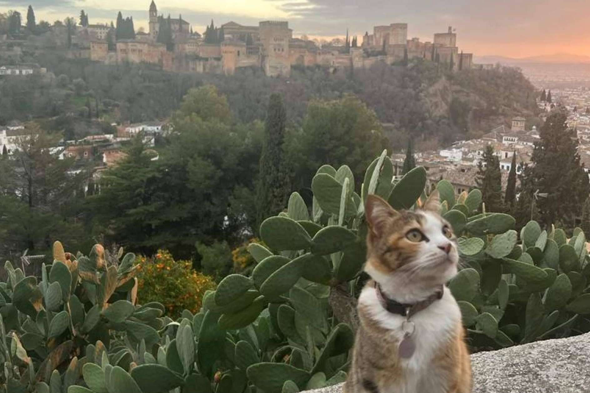 Los lugares que no hay que perderse cuando se hace turismo en Granada