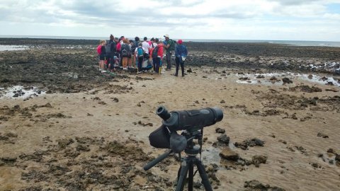 Escolares de primaria del municipio han disfrutado con el programa de formación medioambiental “Playa Honda, la mar de vida”