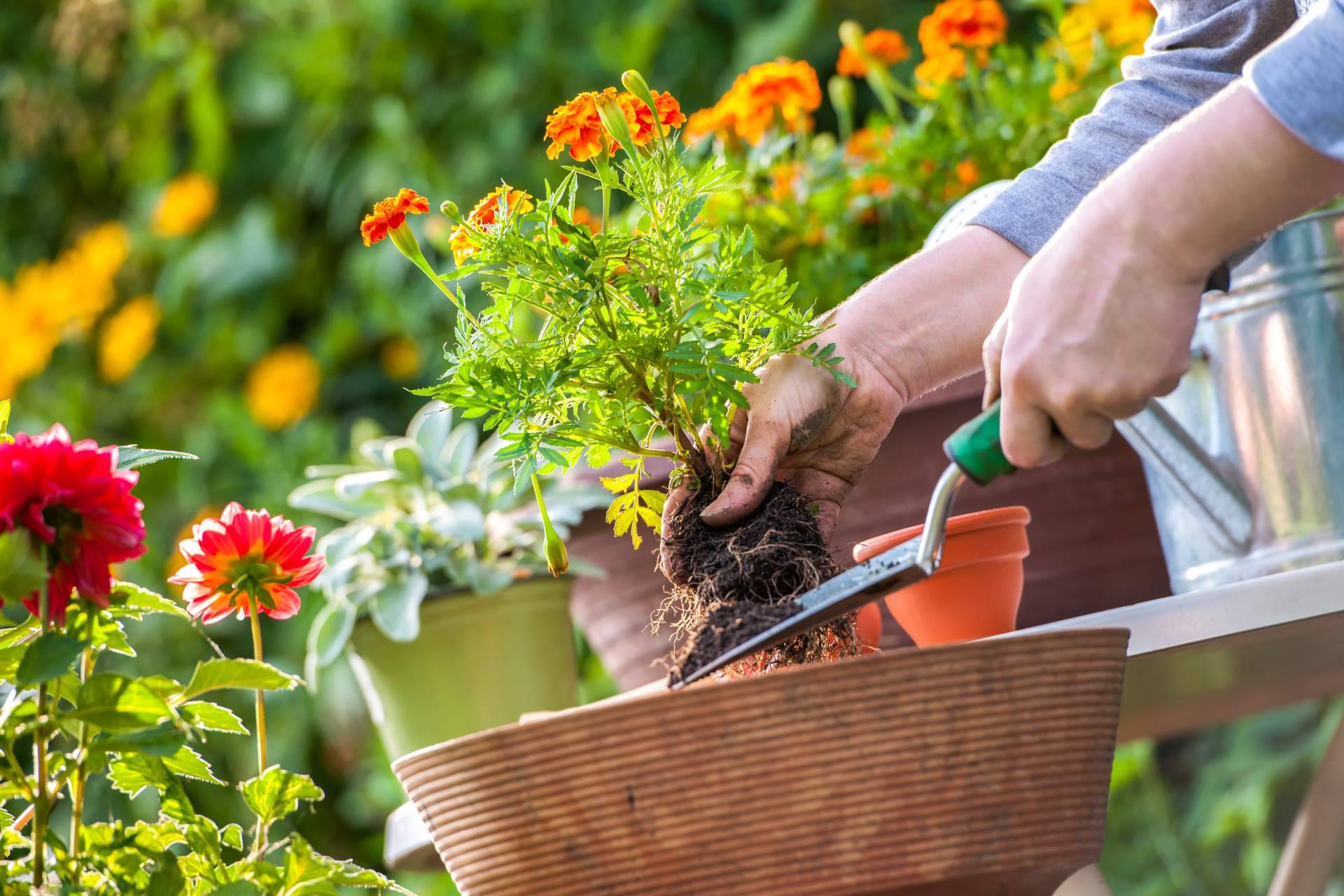 Accesorios para jardín funcionales, innovadores y sostenibles, de la mano de Nova Guada